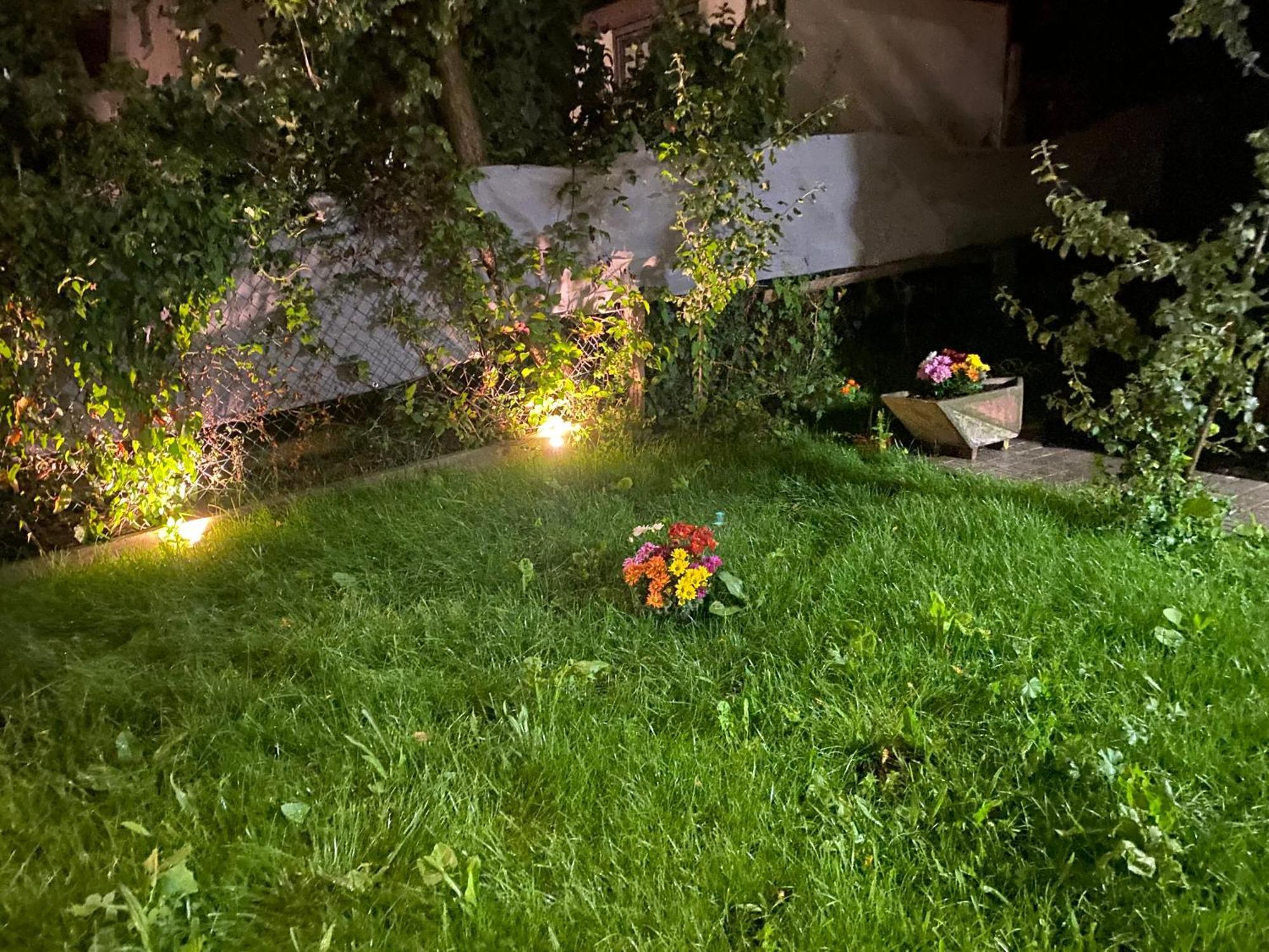 Eden In Vitry Logement Entier Zewnętrze zdjęcie